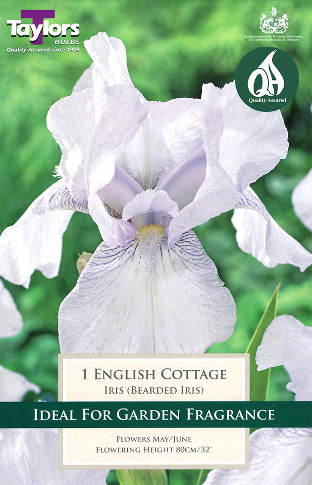 TS857 Iris English Cottage_0.jpg