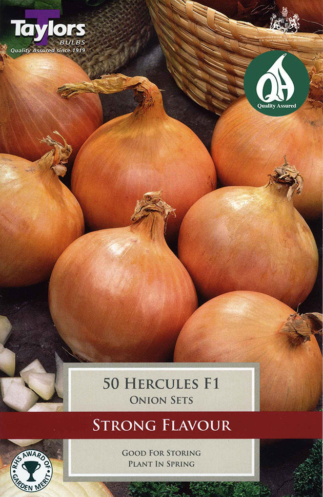 VP215 Onion Hercules_0.jpg