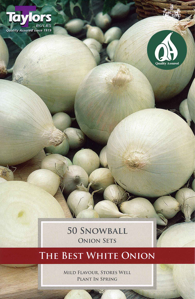 VP240 Onion Snowball_0.jpg