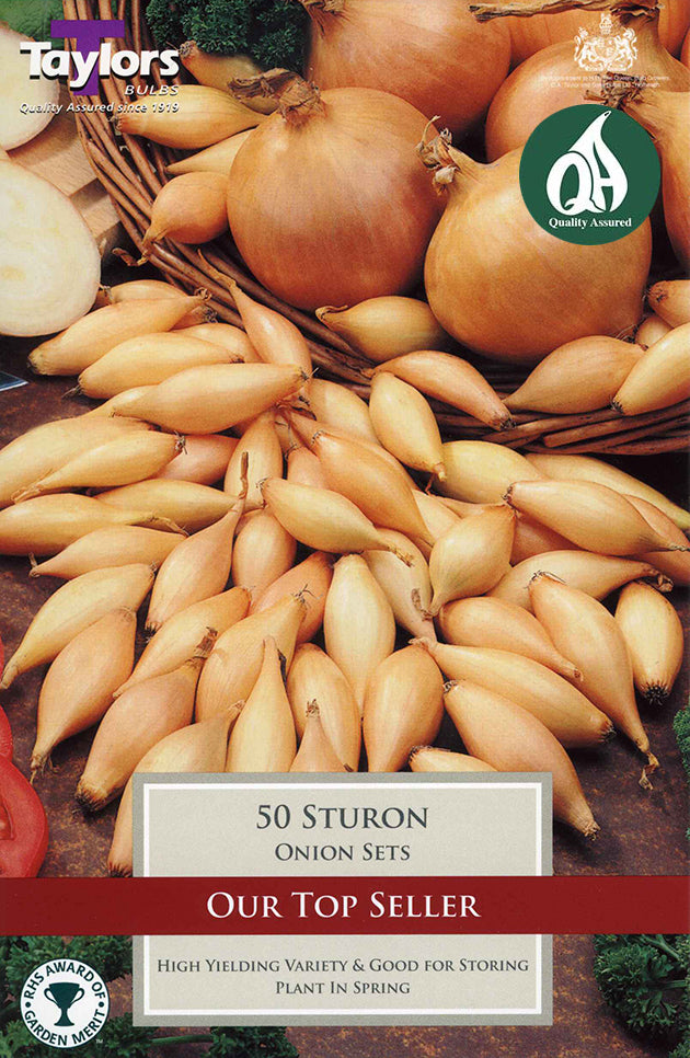 VP250 Onion Sturon_0.jpg