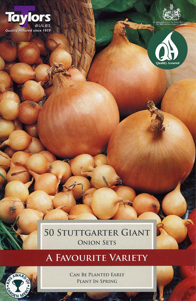 VP260 Onion Stuttgarter Giant_0.jpg