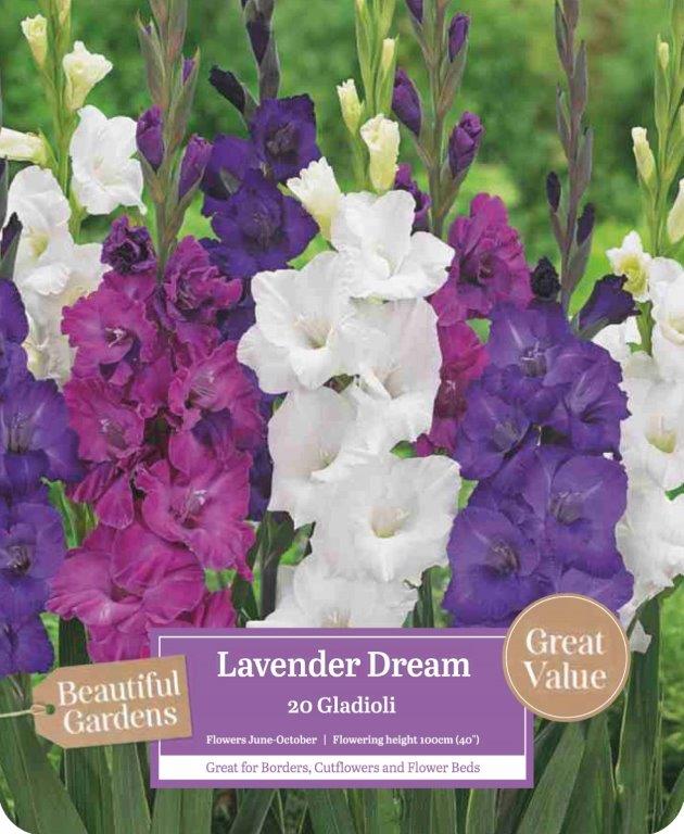 lavender dream.jpg